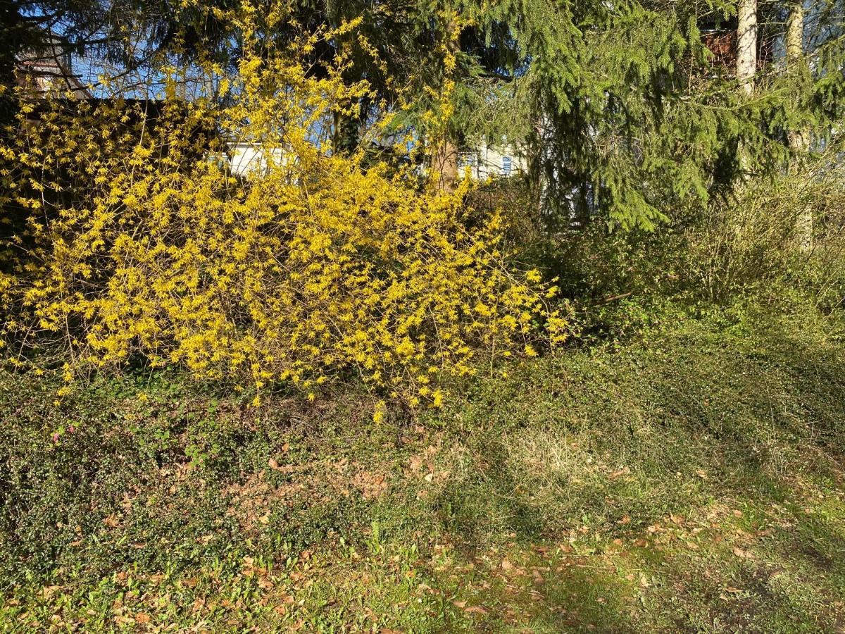 Ferienwohnung Sternenhimmel Lichtenberg  Esterno foto
